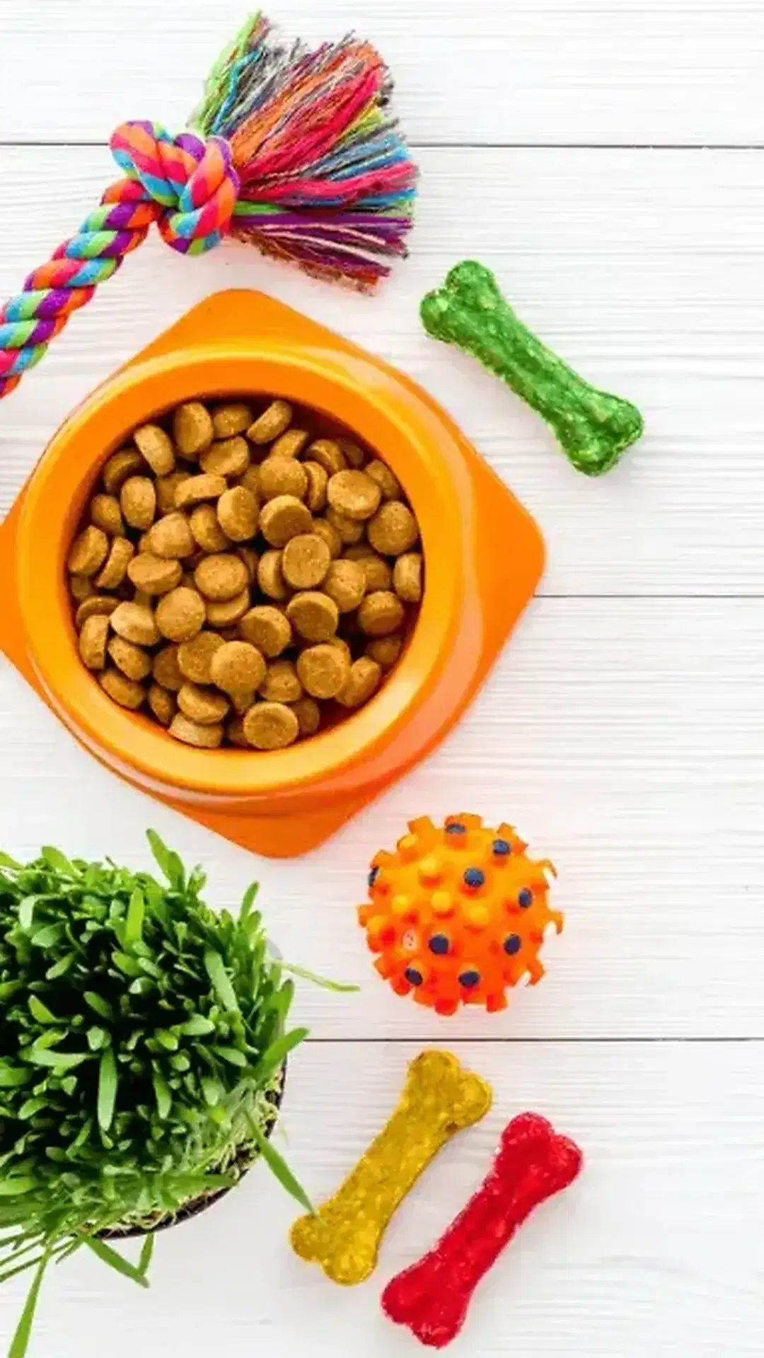 Pawsome Choice hero background